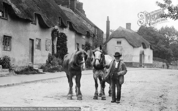 Photo of Chard, Old Man And Horses 1907