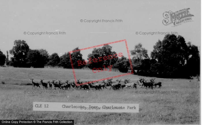 Photo of Charlecote, Deer, Charlecote Park c.1960