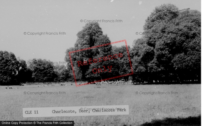 Photo of Charlecote, Deer In Charlecote Park c.1960