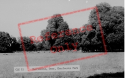 Deer In Charlecote Park c.1960, Charlecote