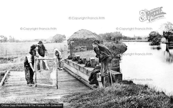 Photo of Charlecote, Setting The Eel Nets At Charlecote Mill c.1890