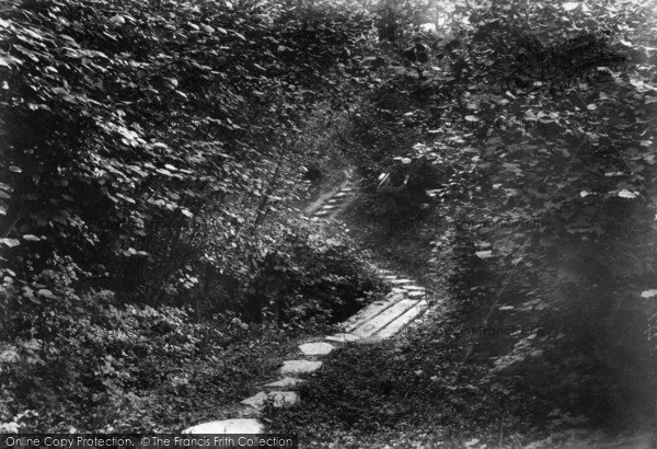 Photo of Charlwood, The Steps, Glover's Wood 1906