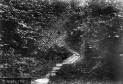The Steps, Glover's Wood 1906, Charlwood