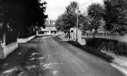 The Village c.1965, Charlwood