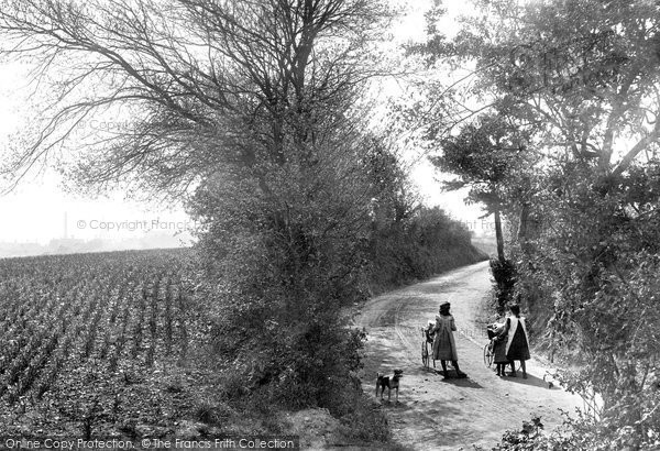Photo of Chartham, A Country Lane 1906