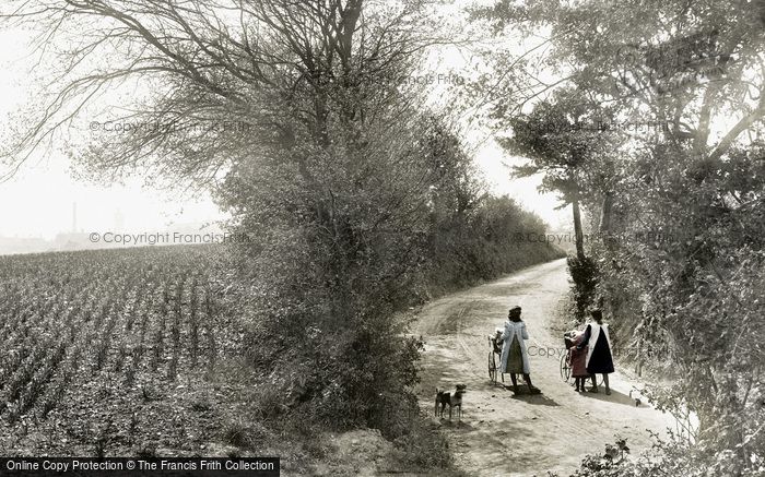 Photo of Chartham, A Country Lane 1906
