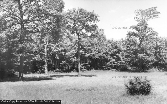 Photo of Chatham, Buckmore Park, A Typical Campsite c.1965