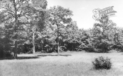 Buckmore Park, A Typical Campsite c.1965, Chatham