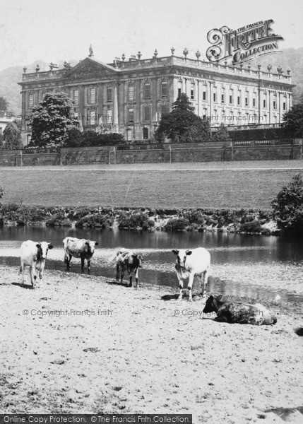 Photo of Chatsworth House, Cattle By The Lake c.1890