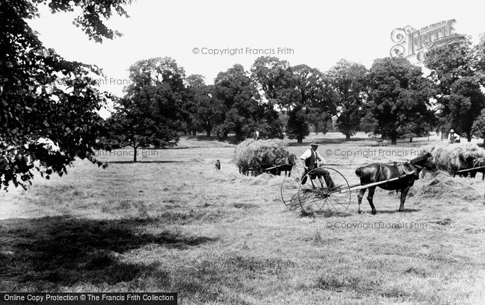 Photo of Cheam, Haymaking In Nonsuch Park 1925