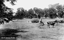 Cheam, Haymaking in Nonsuch Park 1925
