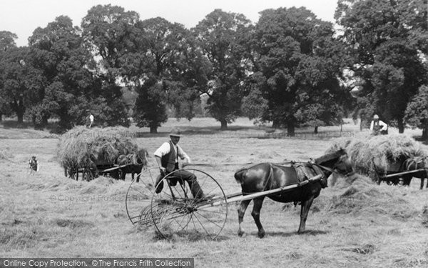 Photo of Cheam, Haymaking In Nonsuch Park 1925