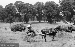 Haymaking In Nonsuch Park 1925, Cheam