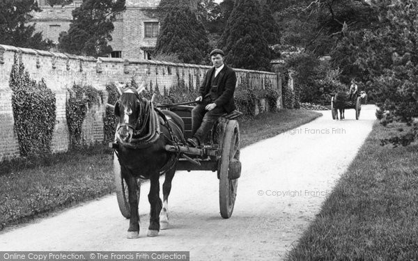 Photo of Cheam, Horse And Cart In Nonsuch Park 1904