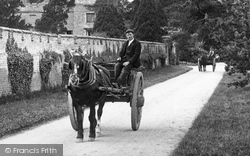 Horse And Cart In Nonsuch Park 1904, Cheam