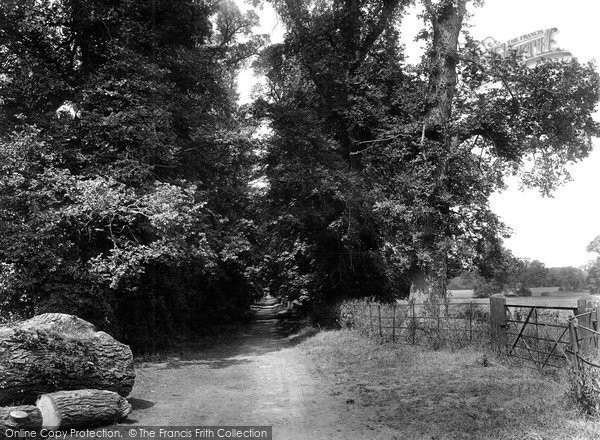 Photo of Cheam, In Nonsuch Park 1925