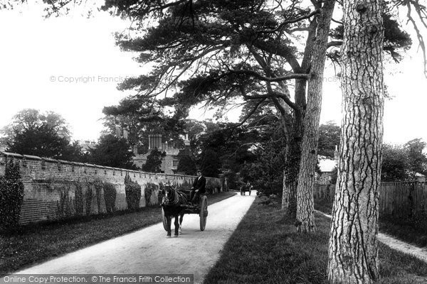 Photo of Cheam, Nonsuch Park 1904