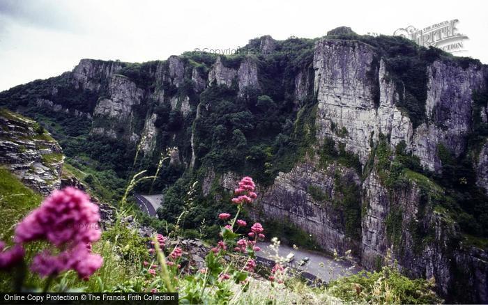 Photo of Cheddar, Gorge, Red Valerian c.1975