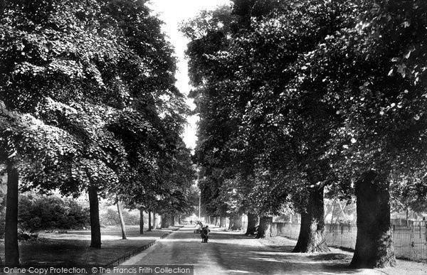 Photo of Chelmsford, Avenue 1901