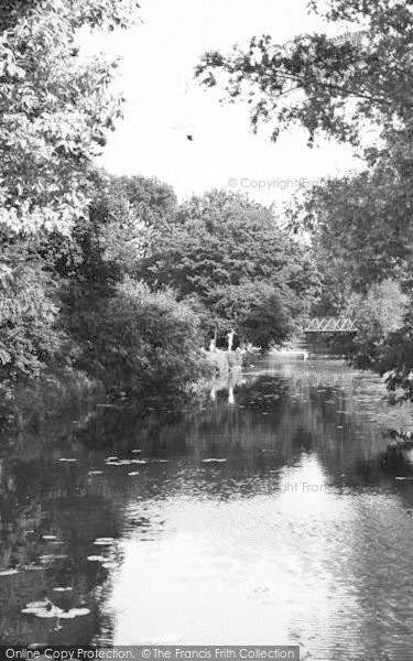 Photo of Chelmsford, Can River, Central Park c.1955