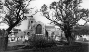 The Cathedral c.1955, Chelmsford