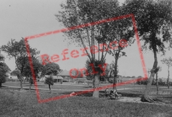 The Recreation Ground 1895, Chelmsford