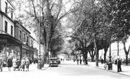 Promenade 1931, Cheltenham