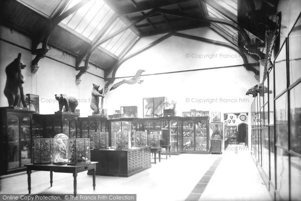 Photo of Cheltenham, The College Museum 1907