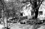 The Neptune Fountain c.1945, Cheltenham