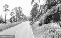 Main Road 1964, Chelwood Gate