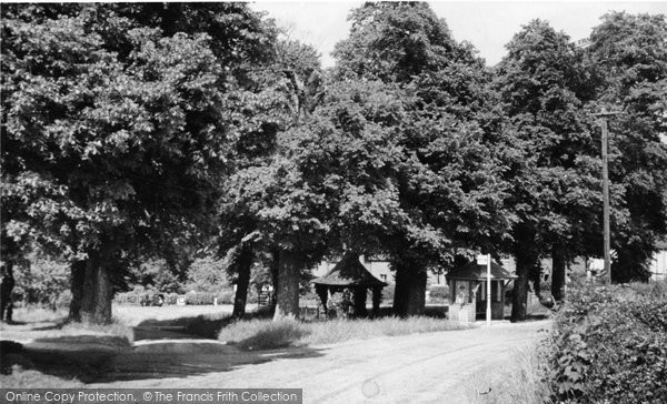 Photo of Chenies, The Bus Stop c.1950