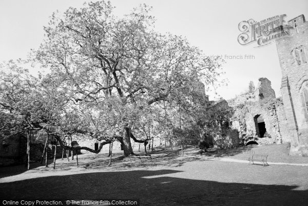 Photo of Chepstow, The Castle And Walnut Tree 1957