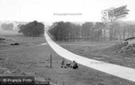 Tower Road c.1960, Cherry Tree