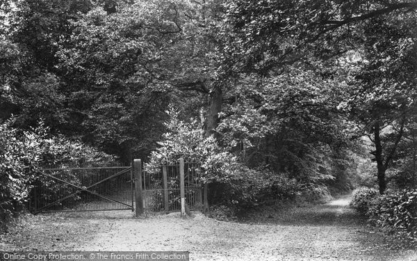 Photo of Chertsey, Entrance To St Ann's Hill 1908