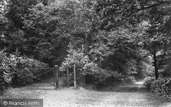 Entrance To St Ann's Hill 1908, Chertsey
