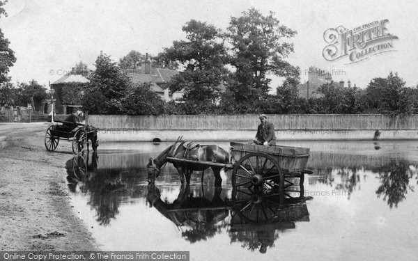 Photo of Chertsey, Horse And Cart In The Pond 1908