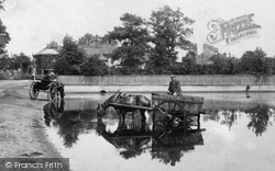 Horse And Cart In The Pond 1908, Chertsey