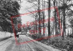 St Anns Road 1906, Chertsey