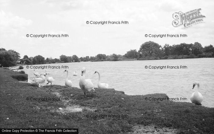 Photo of Chertsey, The River 1966