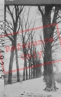 1903, Chesham