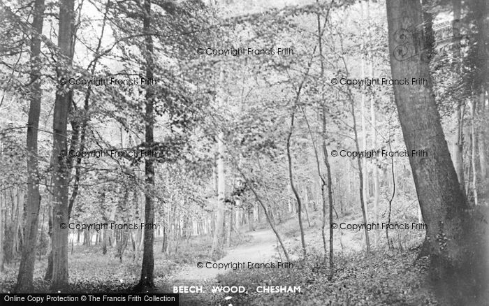 Photo of Chesham, Beech Wood C 1950