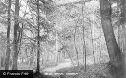Beech Wood C 1950, Chesham