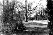 Common c.1955, Chesham Bois