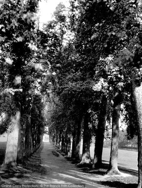 Photo of Chesham, The Avenue 1897