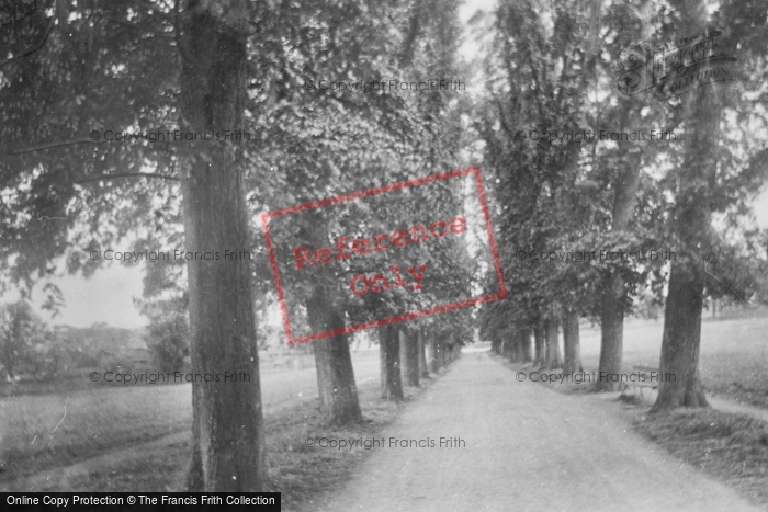 Photo of Chesham, The Avenue 1921