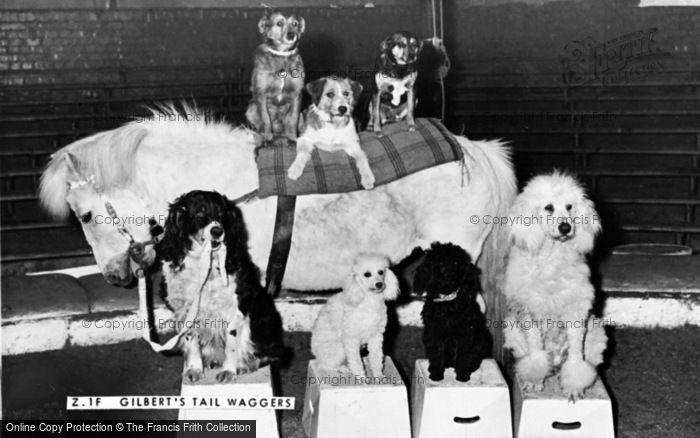 Photo of Chessington, Gilbert's Tail Waggers c.1950