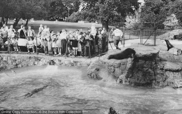Photo of Chessington, Zoo, Feeding The Sea Lions c.1965