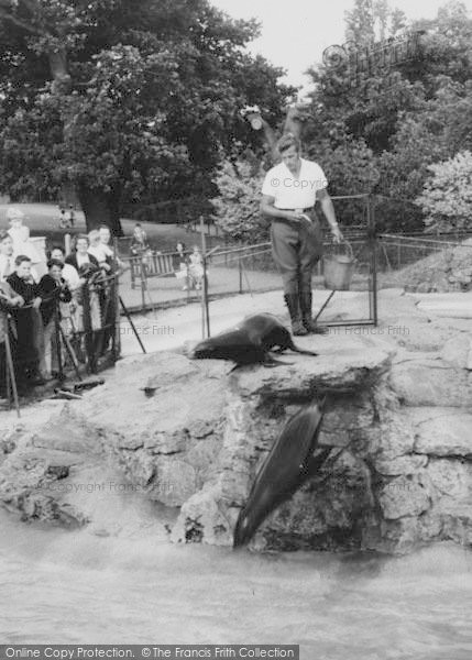 Photo of Chessington, Zoo, Feeding The Sea Lions c.1965