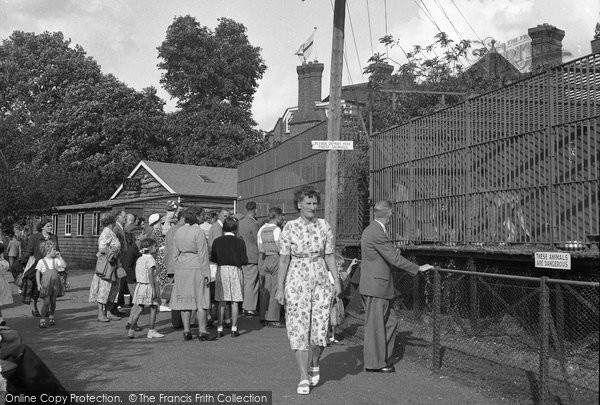 Photo of Chessington, Zoo, Lions' Cages 1952