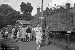 Zoo, Lions' Cages 1952, Chessington